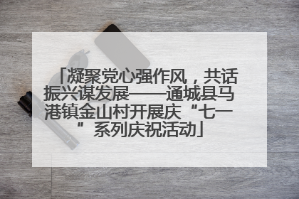 凝聚党心强作风，共话振兴谋发展——通城县马港镇金山村开展庆“七一”系列庆祝活动