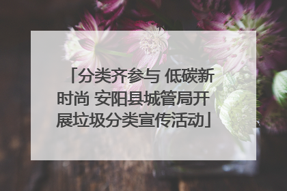 分类齐参与 低碳新时尚 安阳县城管局开展垃圾分类宣传活动