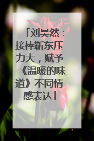 刘昊然：接棒靳东压力大，赋予《温暖的味道》不同情感表达