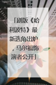剧版《哈利波特》最新选角出炉，马尔福饰演者公开