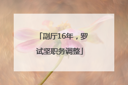 副厅16年，罗试坚职务调整