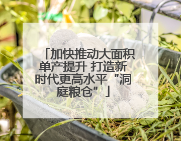 加快推动大面积单产提升 打造新时代更高水平“洞庭粮仓”