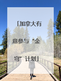加拿大有意参与“金穹”计划