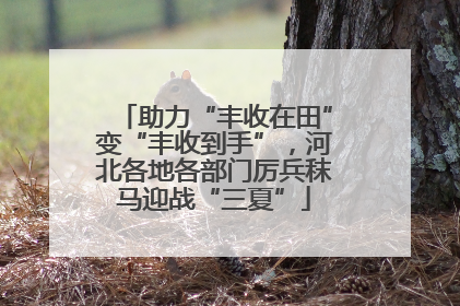 助力“丰收在田”变“丰收到手”，河北各地各部门厉兵秣马迎战“三夏”