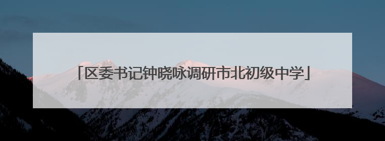 区委书记钟晓咏调研市北初级中学