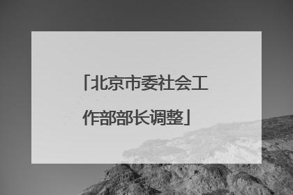 北京市委社会工作部部长调整