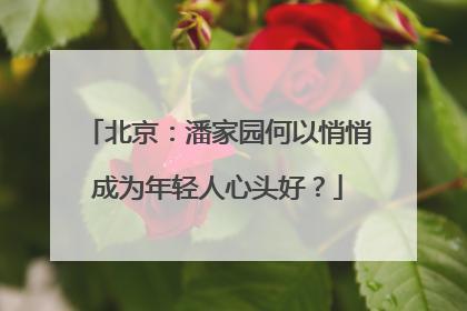 北京：潘家园何以悄悄成为年轻人心头好？