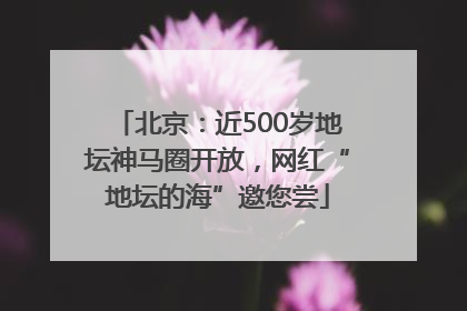 北京：近500岁地坛神马圈开放，网红“地坛的海”邀您尝