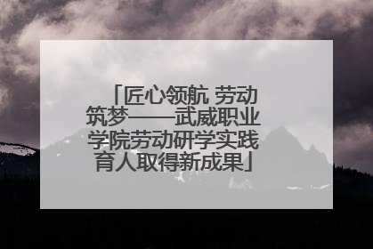匠心领航 劳动筑梦——武威职业学院劳动研学实践育人取得新成果