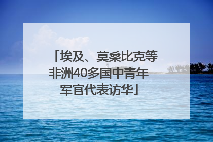 埃及、莫桑比克等非洲40多国中青年军官代表访华