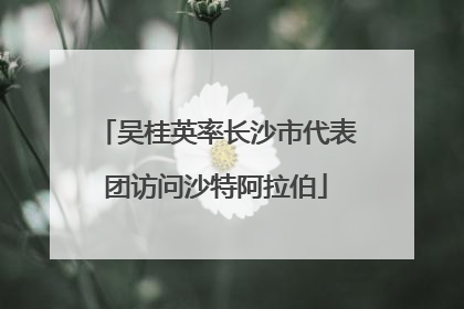 吴桂英率长沙市代表团访问沙特阿拉伯