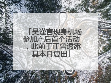 吴谨言现身机场参加产后首个活动，此前于正曾透露其本月复出
