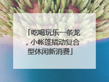 吃喝玩乐一条龙，小帐篷撬动复合型休闲新消费