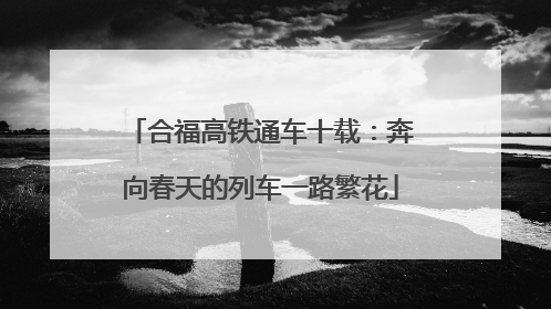 合福高铁通车十载：奔向春天的列车一路繁花