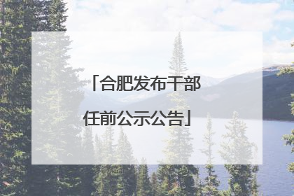 合肥发布干部任前公示公告