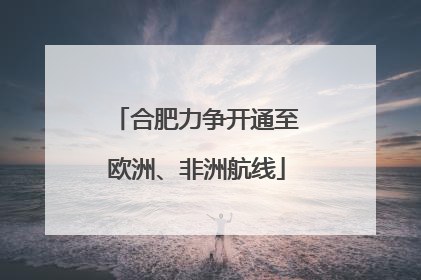 合肥力争开通至欧洲、非洲航线