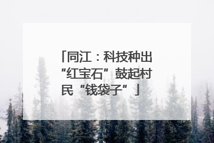 同江：科技种出“红宝石”鼓起村民“钱袋子”