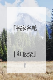 名家名笔｜红板栗