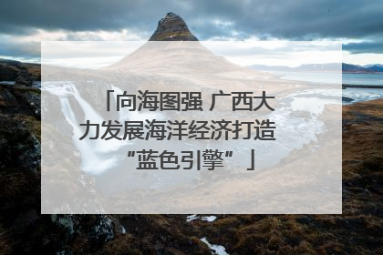 向海图强 广西大力发展海洋经济打造“蓝色引擎”