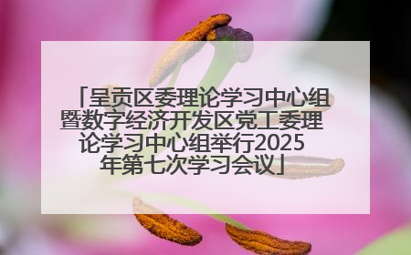 呈贡区委理论学习中心组暨数字经济开发区党工委理论学习中心组举行2025年第七次学习会议