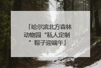 哈尔滨北方森林动物园“私人定制”粽子迎端午