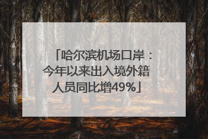 哈尔滨机场口岸：今年以来出入境外籍人员同比增49%