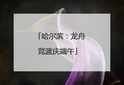 哈尔滨：龙舟竞渡庆端午