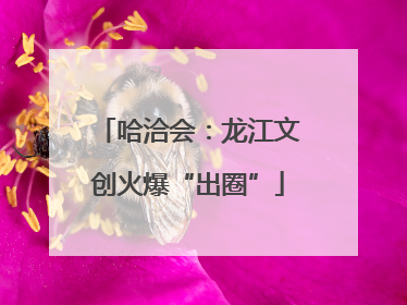 哈洽会：龙江文创火爆“出圈”