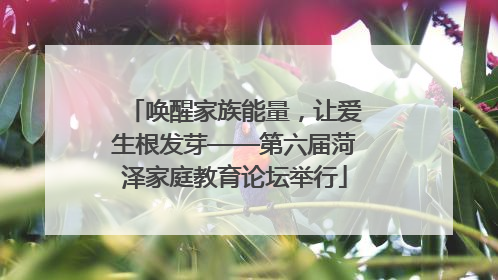 唤醒家族能量，让爱生根发芽——第六届菏泽家庭教育论坛举行
