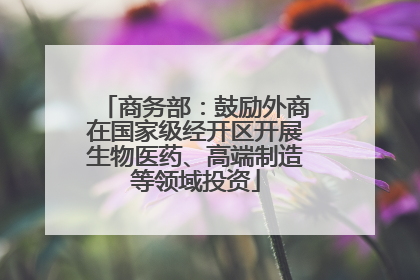 商务部：鼓励外商在国家级经开区开展生物医药、高端制造等领域投资