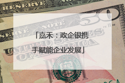嘉禾：政企银携手赋能企业发展
