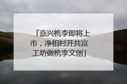 嘉兴槜李即将上市，净相村开共富工坊做槜李文创