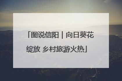 图说信阳｜向日葵花绽放 乡村旅游火热