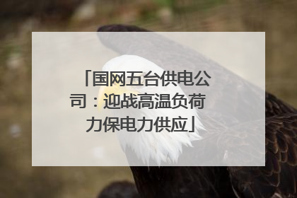 国网五台供电公司：迎战高温负荷 力保电力供应