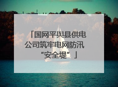 国网平舆县供电公司筑牢电网防汛“安全堤”