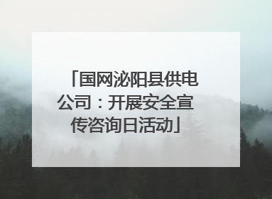 国网泌阳县供电公司：开展安全宣传咨询日活动