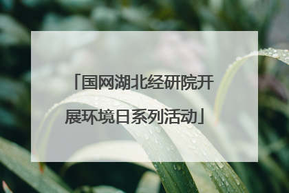 国网湖北经研院开展环境日系列活动