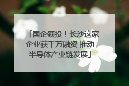 国企领投！长沙这家企业获千万融资 推动半导体产业链发展