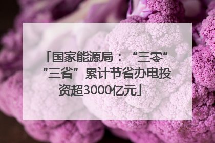 国家能源局：“三零”“三省”累计节省办电投资超3000亿元