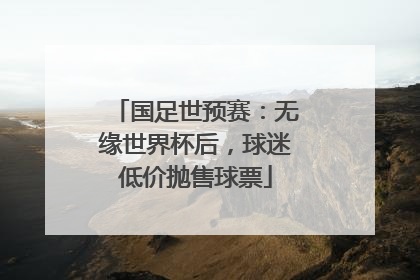 国足世预赛：无缘世界杯后，球迷低价抛售球票