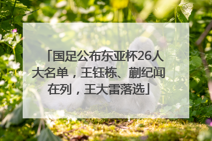国足公布东亚杯26人大名单，王钰栋、蒯纪闻在列，王大雷落选