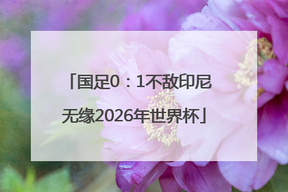 国足0：1不敌印尼 无缘2026年世界杯
