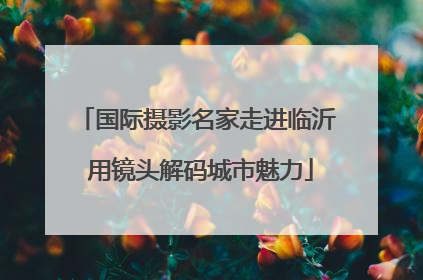 国际摄影名家走进临沂 用镜头解码城市魅力