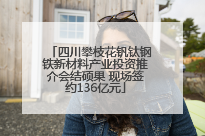 四川攀枝花钒钛钢铁新材料产业投资推介会结硕果 现场签约136亿元