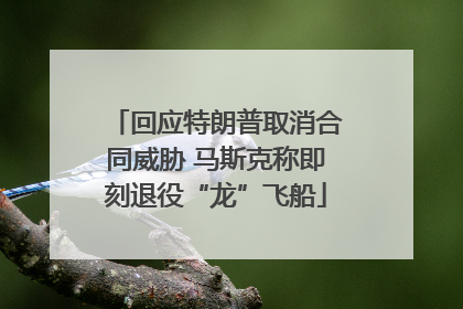 回应特朗普取消合同威胁 马斯克称即刻退役“龙”飞船