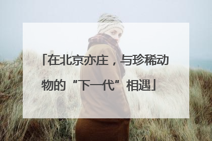 在北京亦庄，与珍稀动物的“下一代”相遇