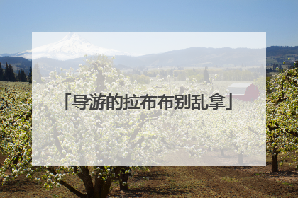 导游的拉布布别乱拿
