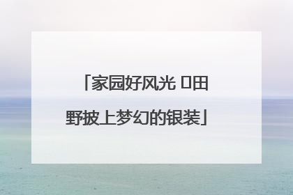 家园好风光 ⎮田野披上梦幻的银装