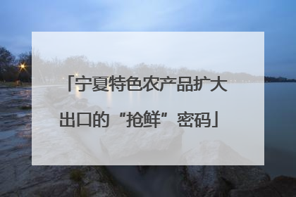 宁夏特色农产品扩大出口的“抢鲜”密码