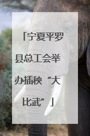 宁夏平罗县总工会举办插秧“大比武”